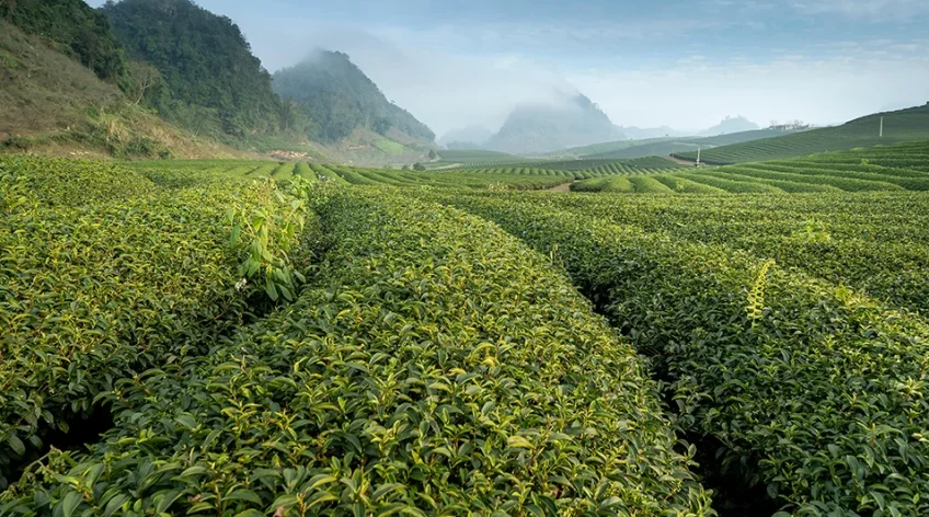 There are many variations of passages of Lorem Ipsum available, but majority have suffered teration in some form, by injected humour, or randomised words which don't look even slight believable. If you are going to use a passage of Lorem Ipsum.